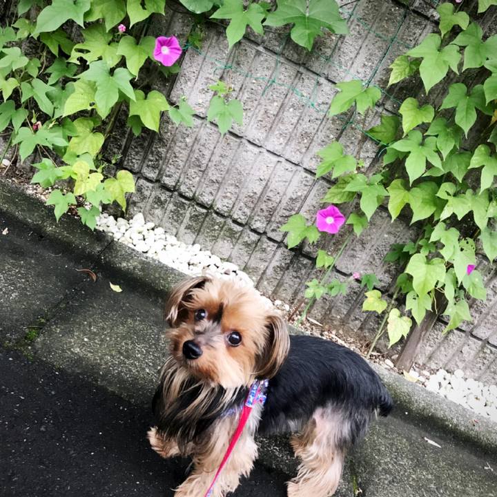 6aae7888 47dd 4e5f b762 44c56795049b