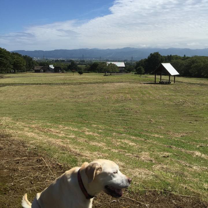 6aaf1f80 d8ba 4150 ac9e 32041857f65d