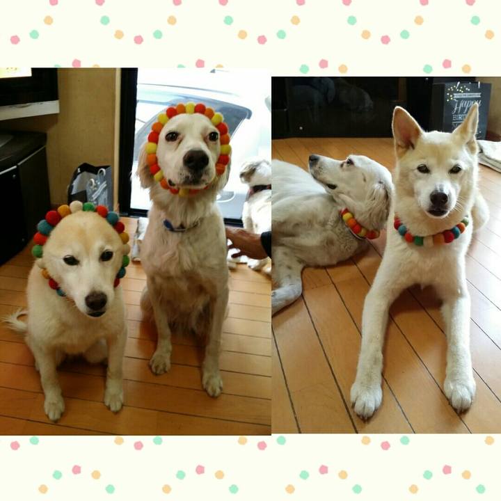 6ab01fea cf6c 4390 a68e b29dd02dd6d9