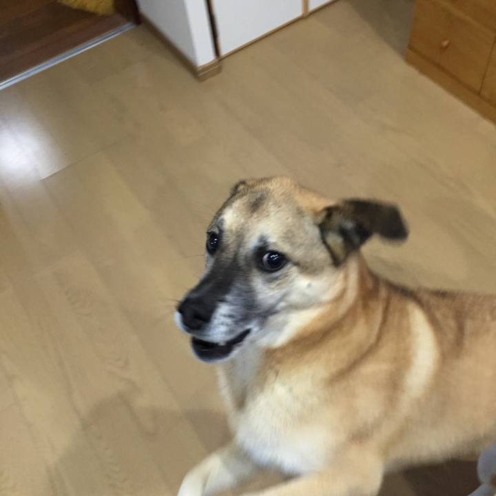 6ab08f43 3e6a 4923 975c 85cebdec7209