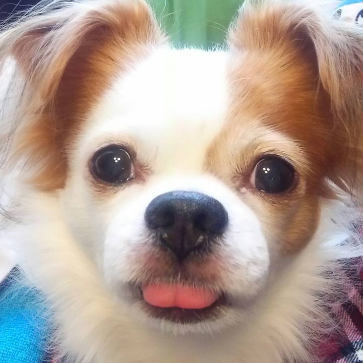 6ab14271 3aab 4e21 bb57 125d225da3e4