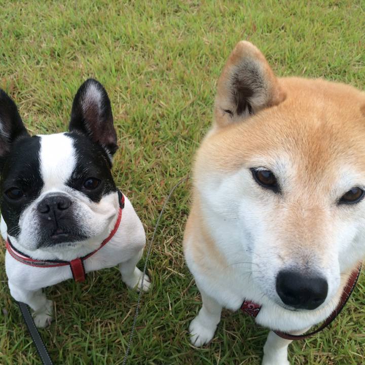 6ab1e33b 83a0 45cb 9422 7f984baa8bec