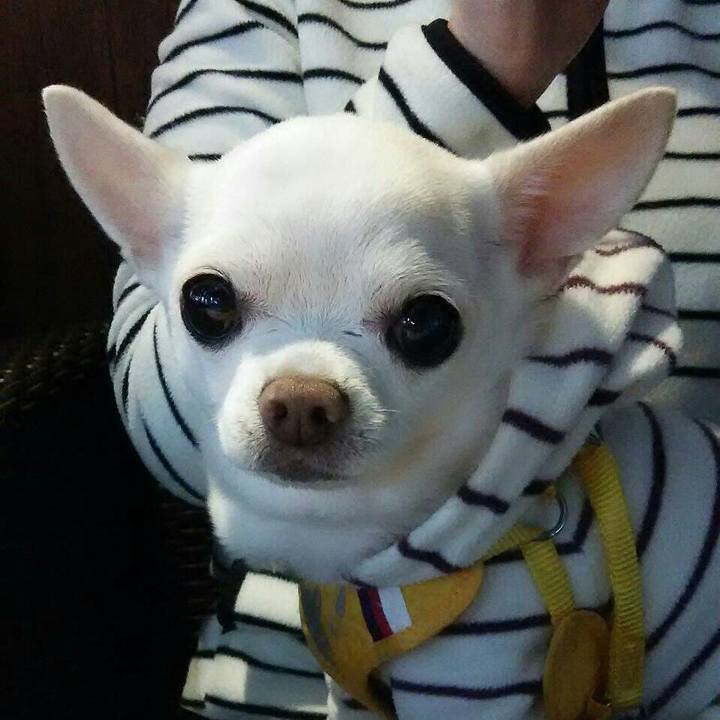 6ab22600 6fb8 4ce5 a2ec 3720ac84cbc0