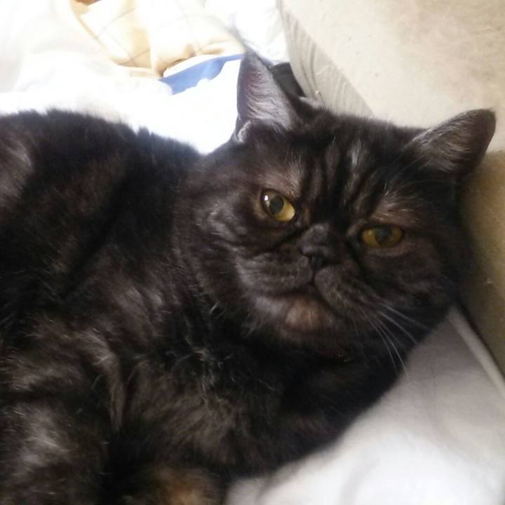 6ab2478b fa7a 461f b993 048eccc073a6