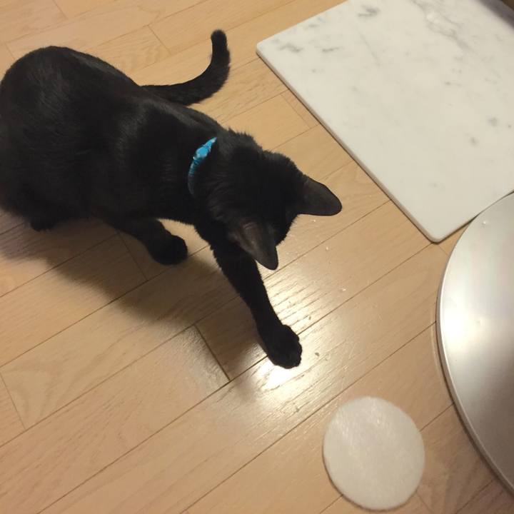 6ab2f469 7885 4227 b626 cafa6a3bc5e7