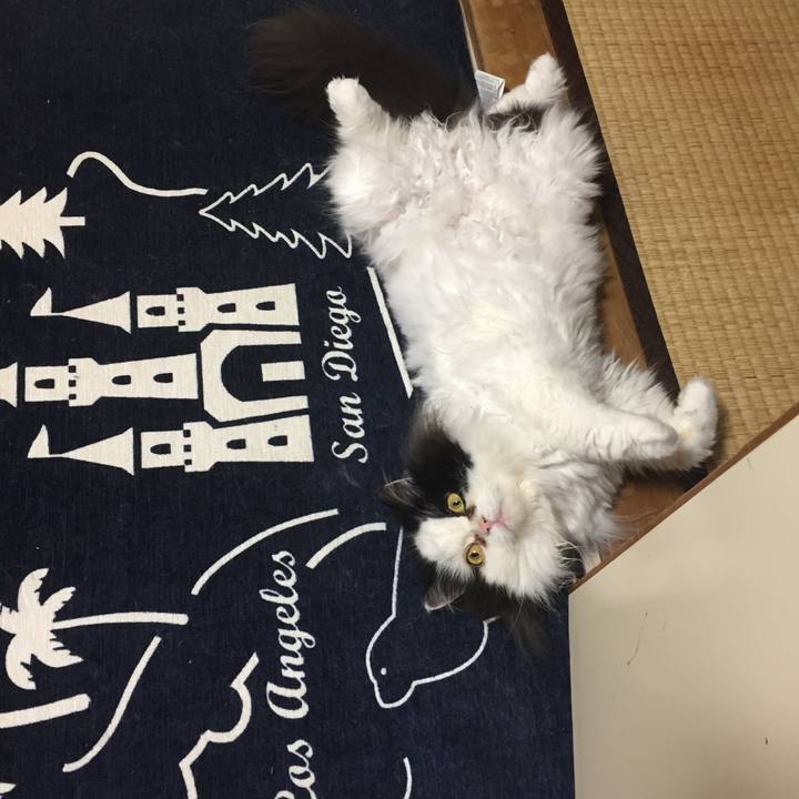 6ab4b34a 5bf0 4a4d 8f63 f59b5eae4cc2