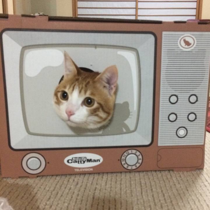 6ab59b60 7e99 4128 84de 091094b01bc9