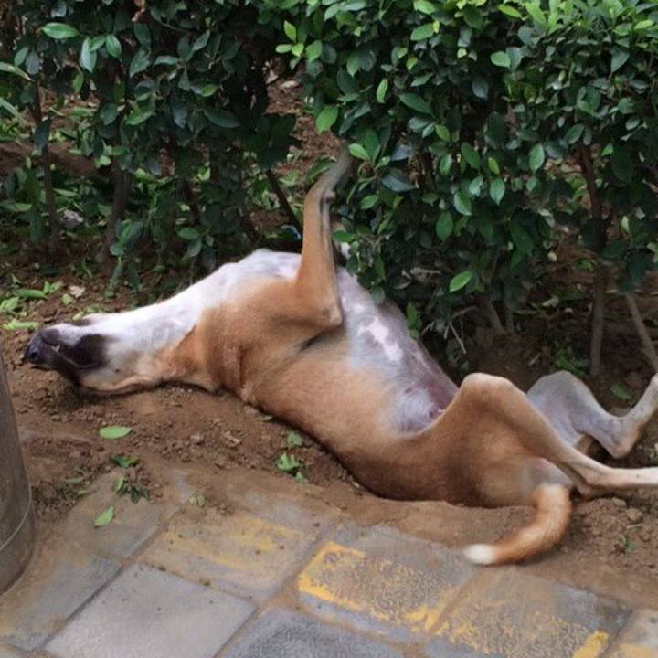 6ab5ce1e 7913 41d3 8836 cd34d51e21cb