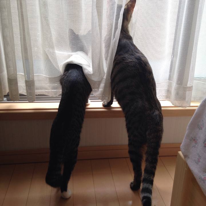 6ab73080 91fd 4cb5 90ab 75bfbe2739a3