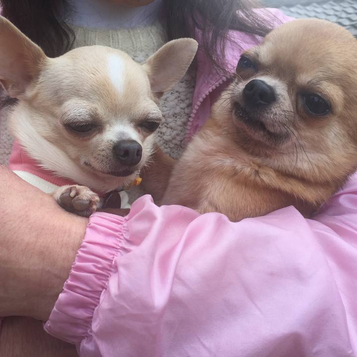 6ab88eb5 6325 40ea 8234 9ca98df2e6dd