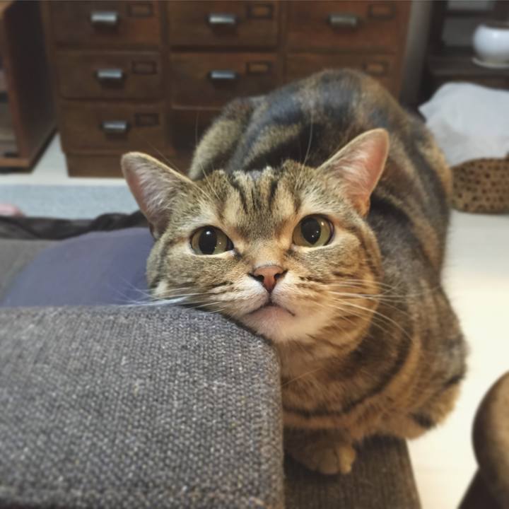 6ab8c8b9 a30a 4d68 85e5 9289d9aafde9