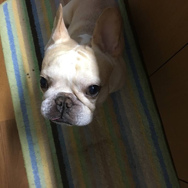 6ab8d60e acc7 434c 8763 94581dbfb969