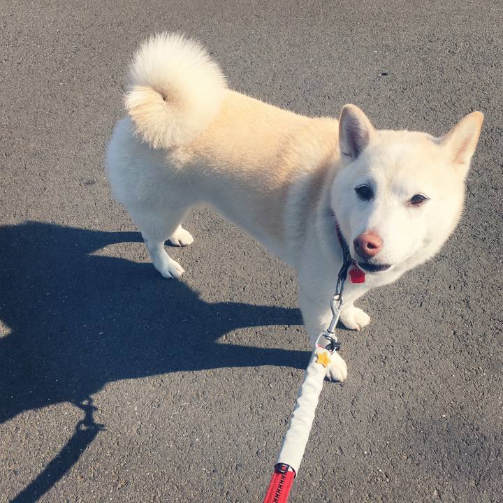 6ab922bf d442 4769 a69a e5a940653778