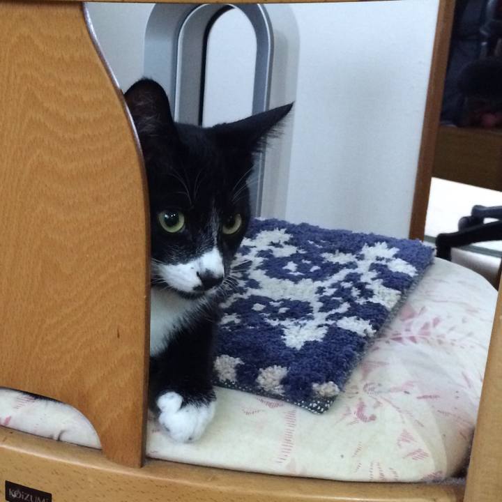 6ab9cfd8 3b4b 47d4 88f7 b0507f2c0af4