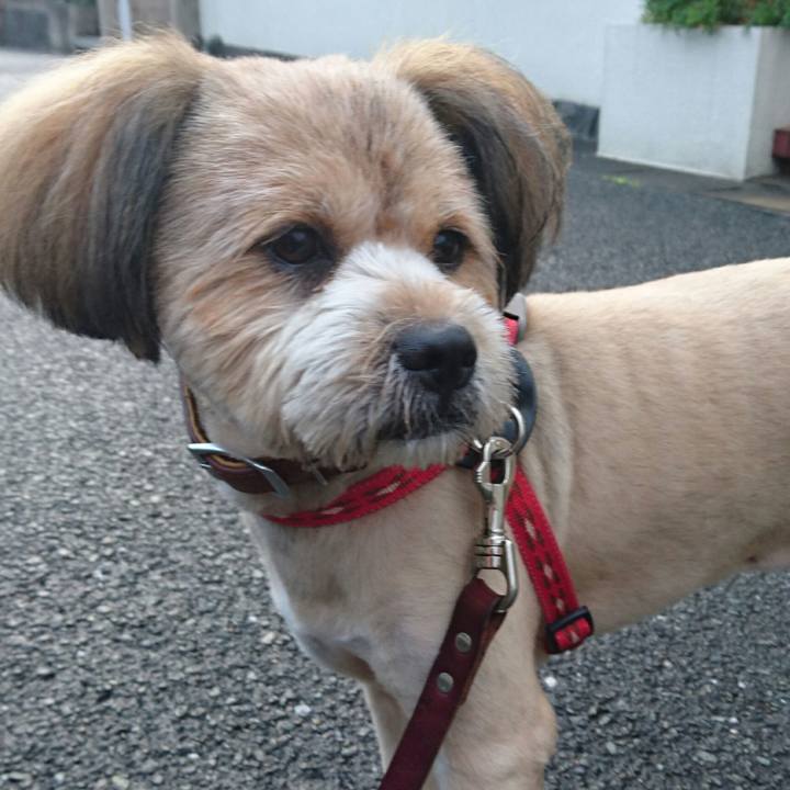 6ab9ee84 a47b 4e0f a318 fa6b3256243f