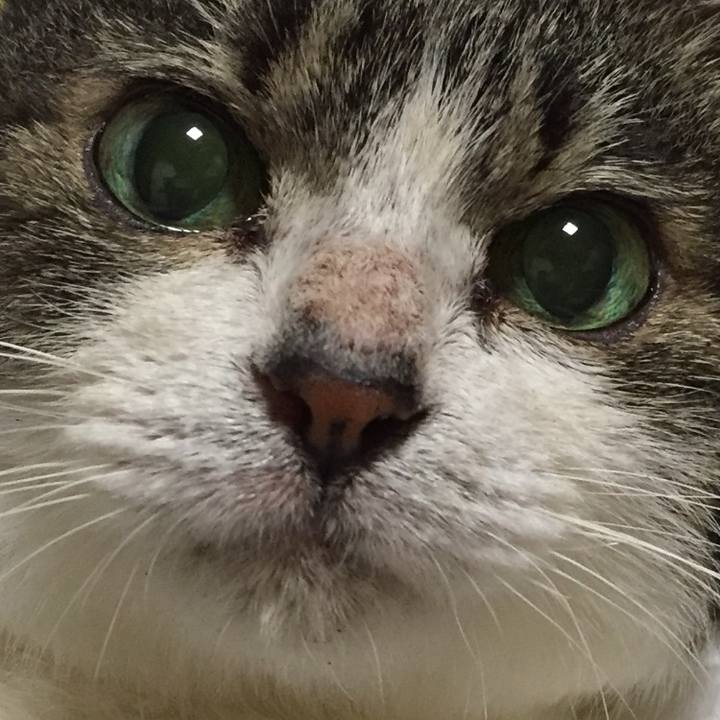 6abaf106 80d0 45d0 9aae 3510927c7a76