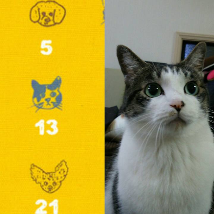 6abb5bdf ad76 44f2 8d33 d668418ca34a