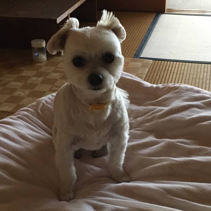 6abba361 99ad 4639 8ba1 7b4b1ca39236