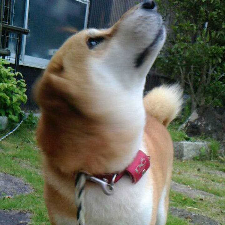 6abc2edf 0b0a 4cc7 bf98 2c4ce1ad9097