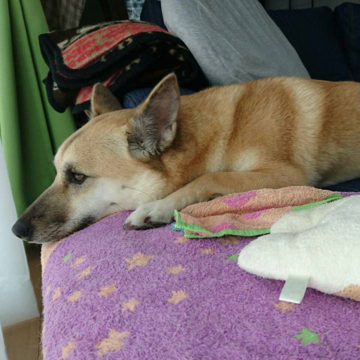 6abc4750 2184 4b82 bac9 795f1bb7e60e