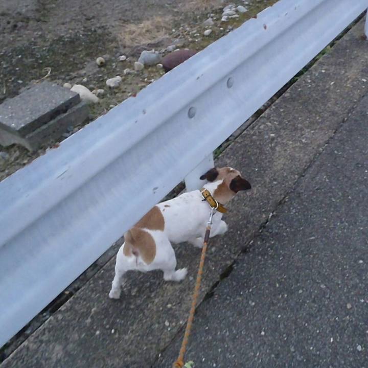 6abc9956 29fd 4b04 98e7 4fb48f9e4264