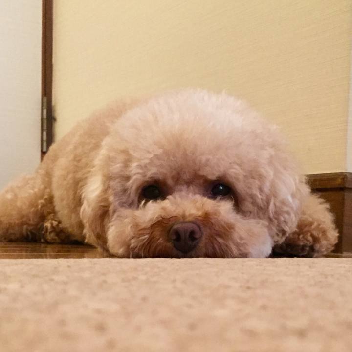 6abcbea9 db12 46b9 8ef9 1ac400640dff