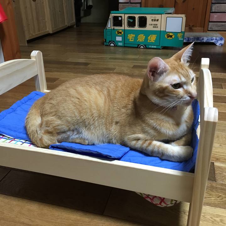 6abcfc5d 6934 404c 8c21 2cad3c912893