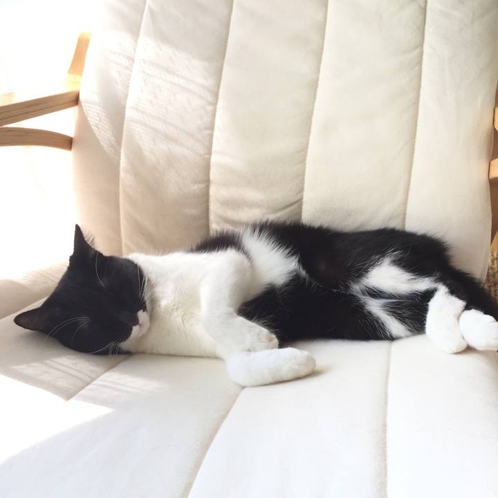 6abd1fd3 b015 4440 8e7b 6085e41c7131