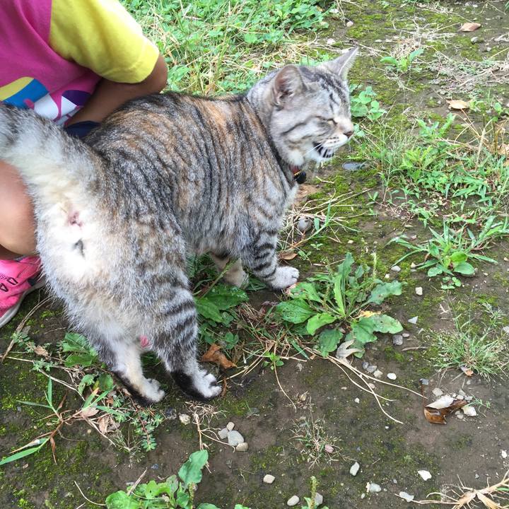 6abda69f 0f83 4400 8d4a 34bbd0bca37b