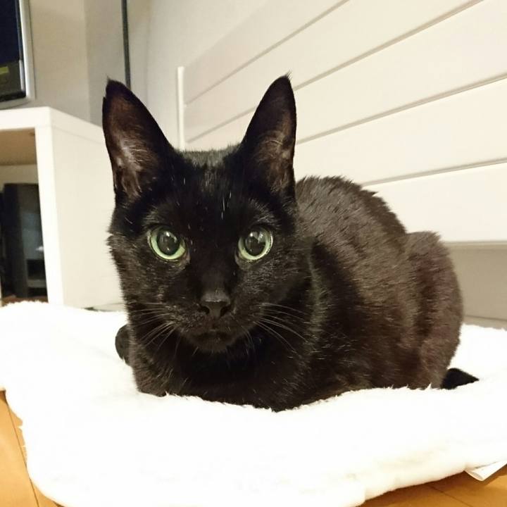 6abddbeb 1b0f 4184 8b0d 9db62fdd76b6