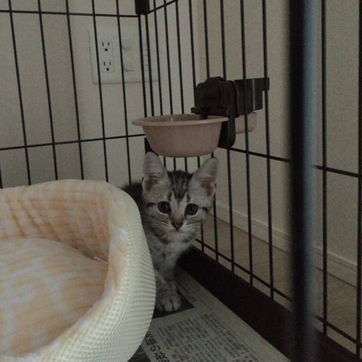 6abebc24 606b 4c6b 8341 d60ec8cb6201