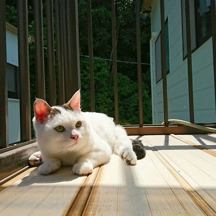 6abf0dba 3398 45a3 babd 11b8f30efcbd