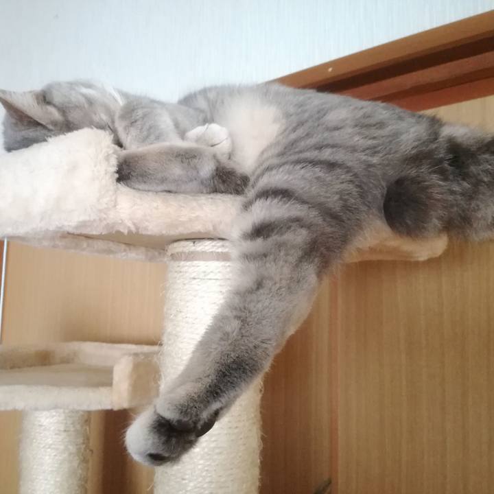 6abf1ba4 130d 46a1 a4e7 0a6fd9ba7ed7