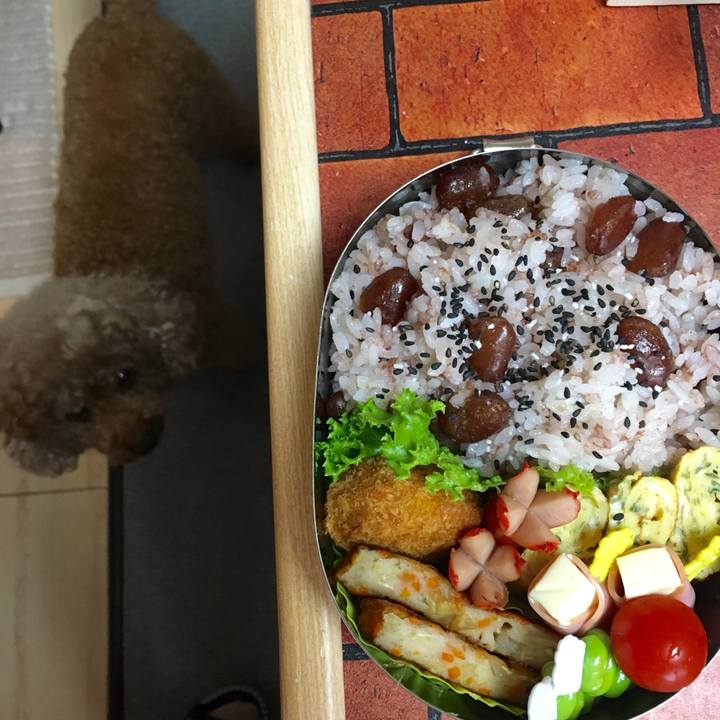 6abf4b9b df52 45a0 9c7a 2d4d1d6c30ce