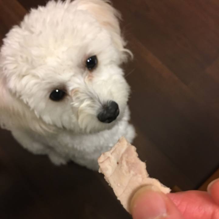 6abf5b04 cc82 4f14 bba7 25a33957329b