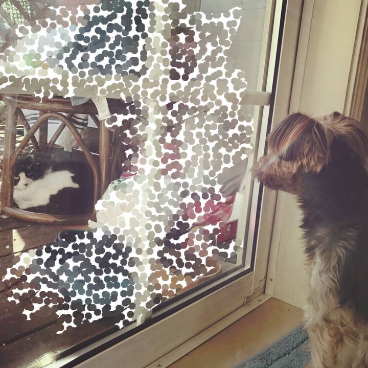 6ac0042a c600 4a78 a458 a2c294d9b893