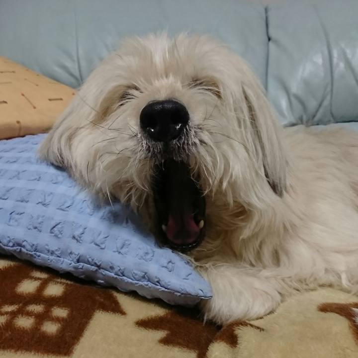 6ac07e16 0ce7 4e2c bded 13ca481b4a9f