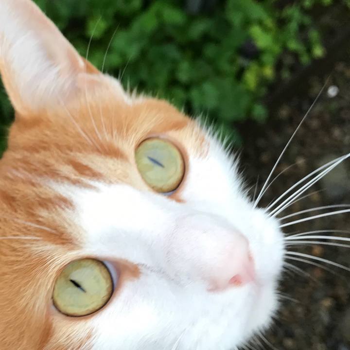 6ac0da72 0d52 4cb8 80dc 5140281e6b13