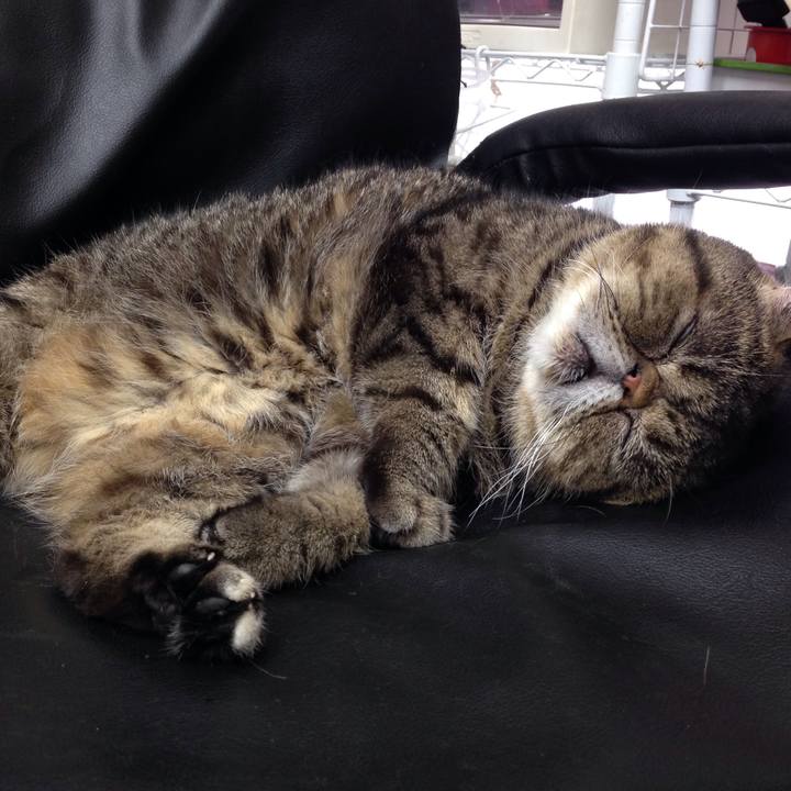 6ac11b0e 178f 43d2 8db4 af8f6be8691c