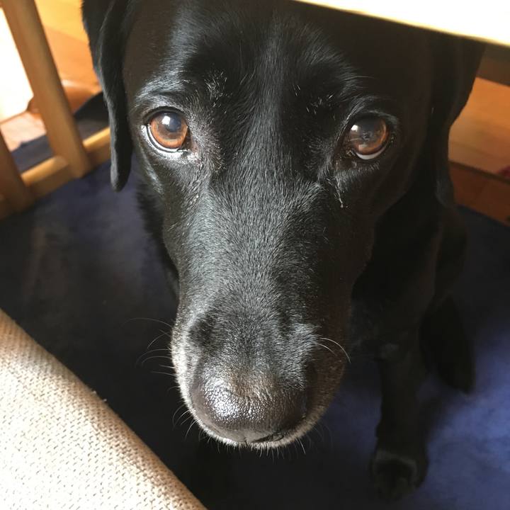 6ac122aa c4af 4ac7 892e 398e5c193586