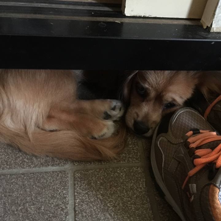 6ac154d7 c596 4de3 ad99 10ca6b5e1520