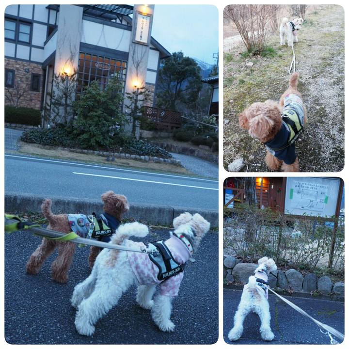 6ac241af 2582 4134 98fa 9356802ae0a1