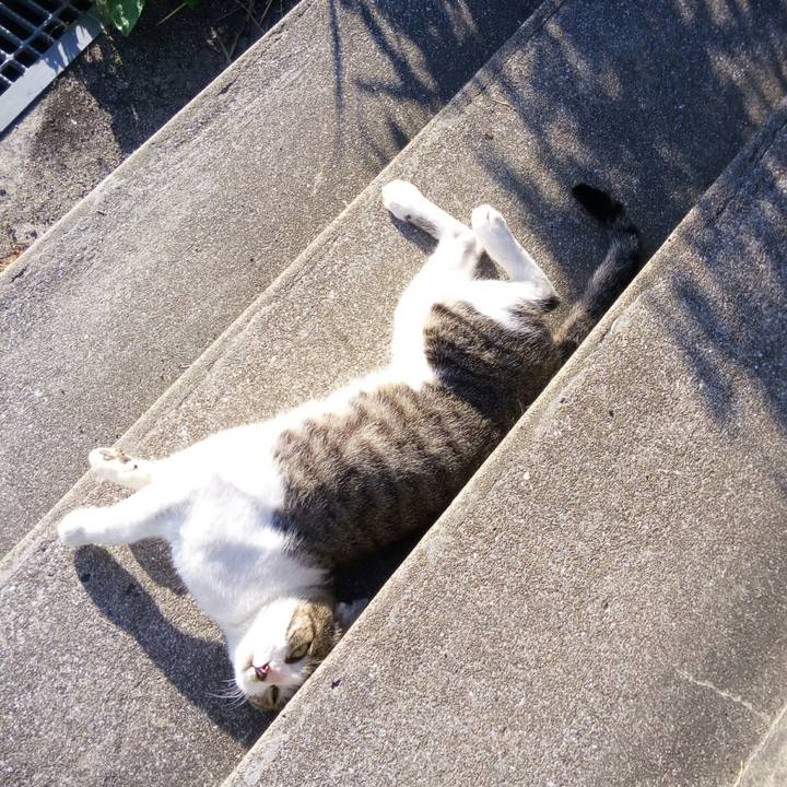 6ac26077 bac4 4ae1 877a 82459e5d5757