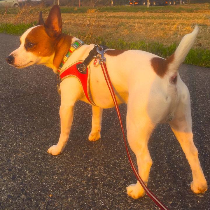 6ac2c47d 4cd5 4454 843c 1c9ac5fe3213