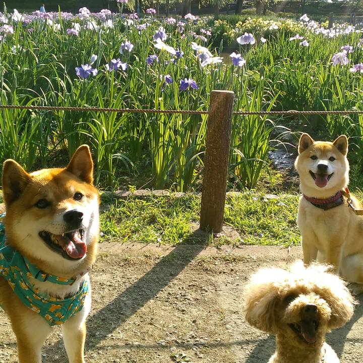 6ac36b2d 8a39 4584 8d7c c48f52920d4a