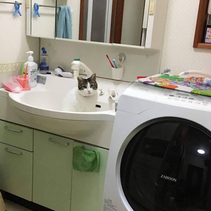 6ac4193f fe43 4660 a00d 9323198e0e39