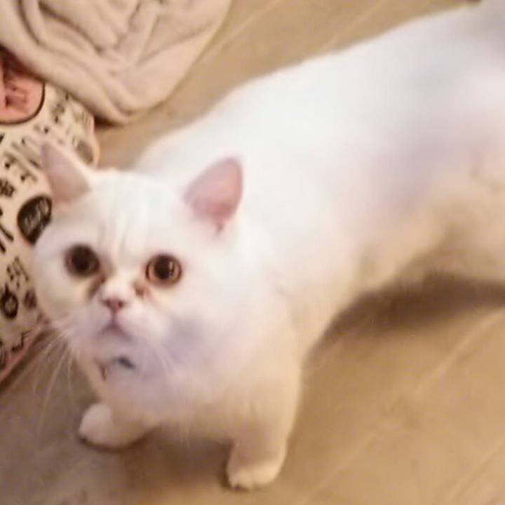 6ac4aefa b9a6 427f aa20 29e976f2cc6d