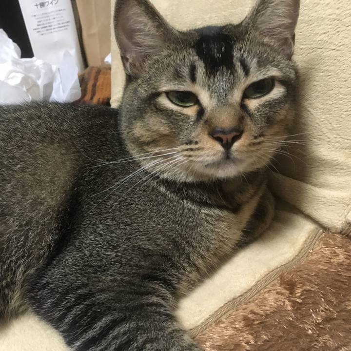 6ac4b97b 4ba4 4b7f bd0f d7886464cde6