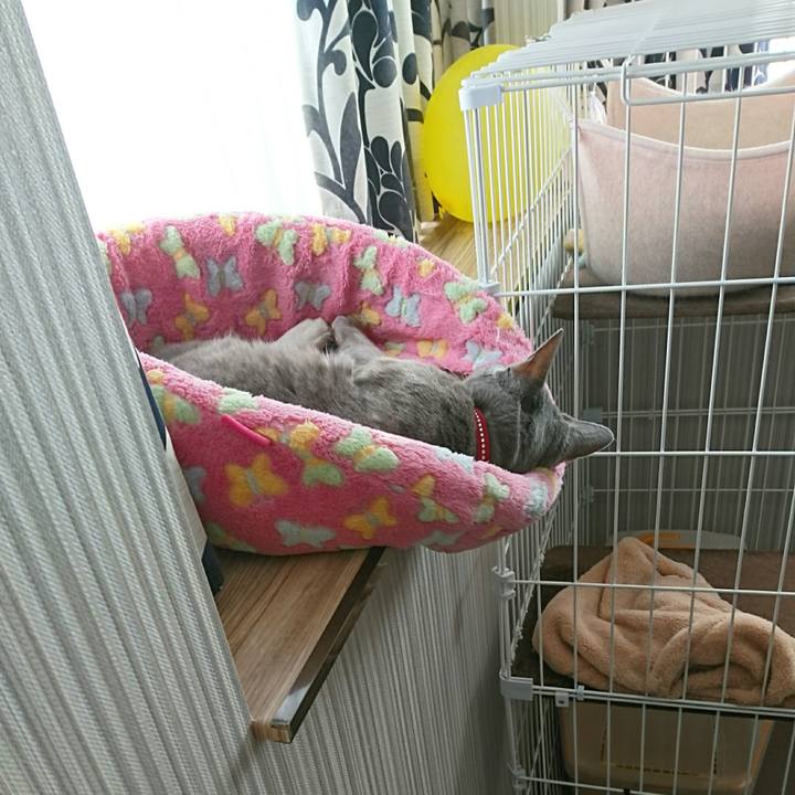 6ac54f94 2abe 46fc bfa9 cc43cd1a2d89