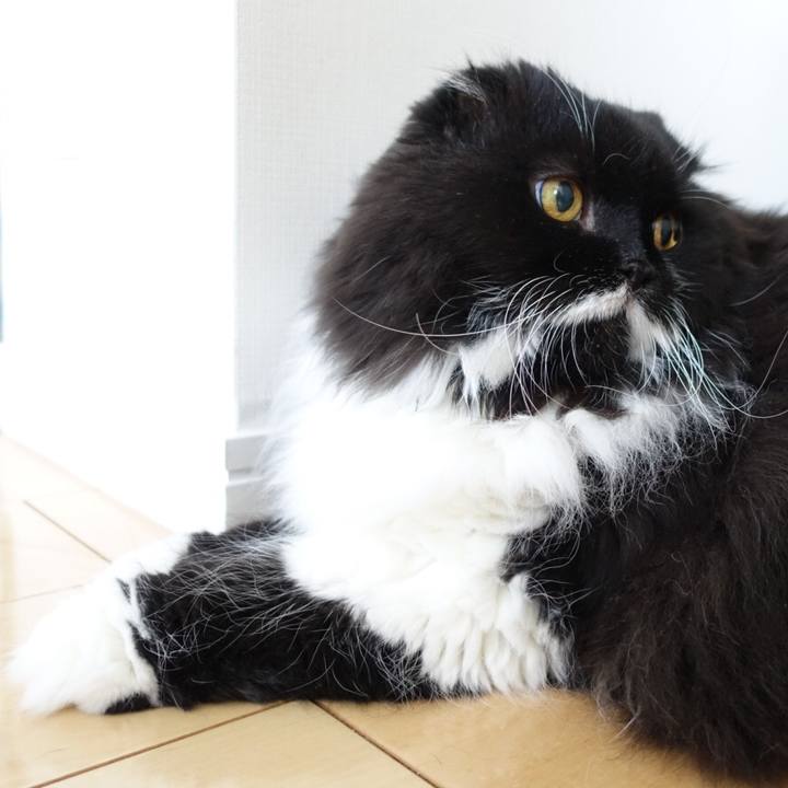 6ac56288 cad6 40b6 9e12 9adf04ae0cf5